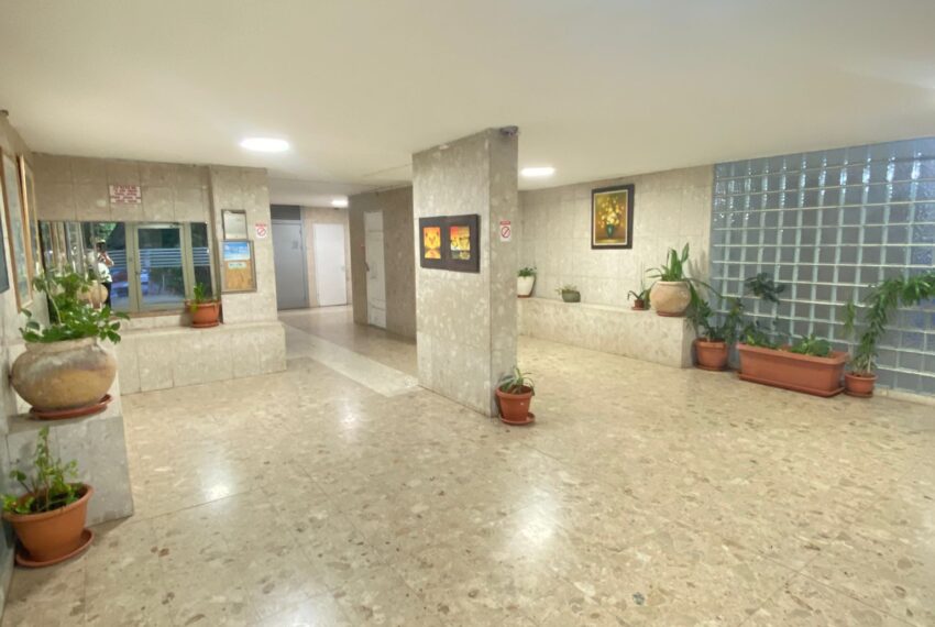 3521202e-c770-497c-9918-f342d0d9384b