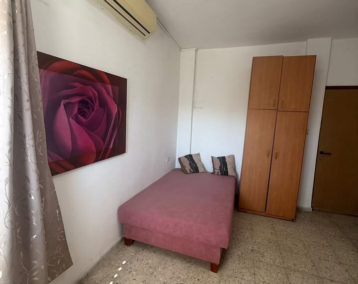 518210209_728901209740644_3113886837463204384_n