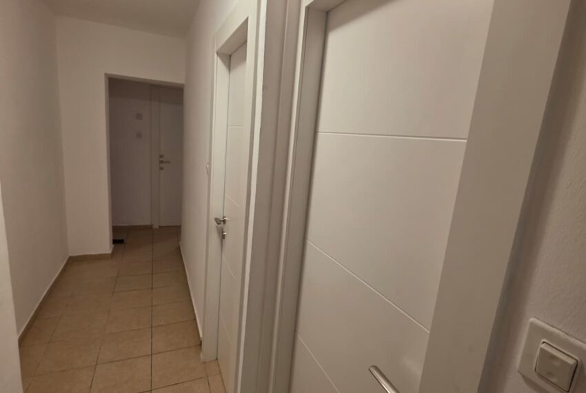 WhatsApp Image 2026-03-31 at 12.51.58